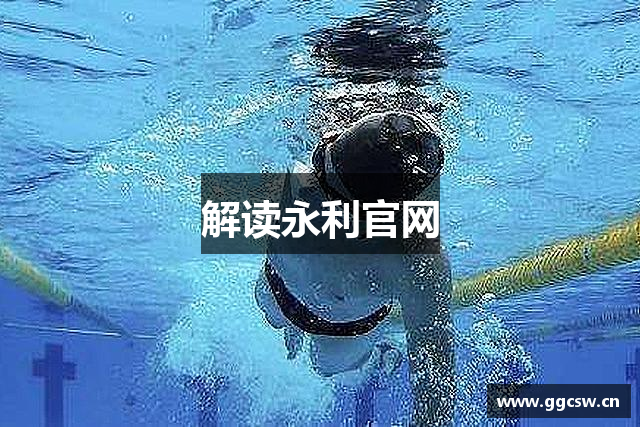 解读永利官网